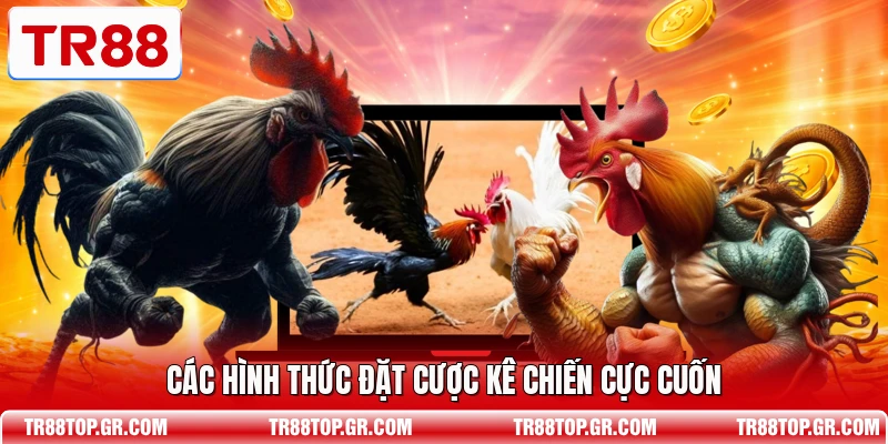 Các hình thức đặt cược kê chiến cực cuốn