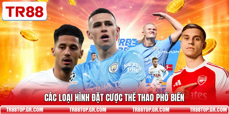 Các loại hình đặt cược thể thao phổ biến