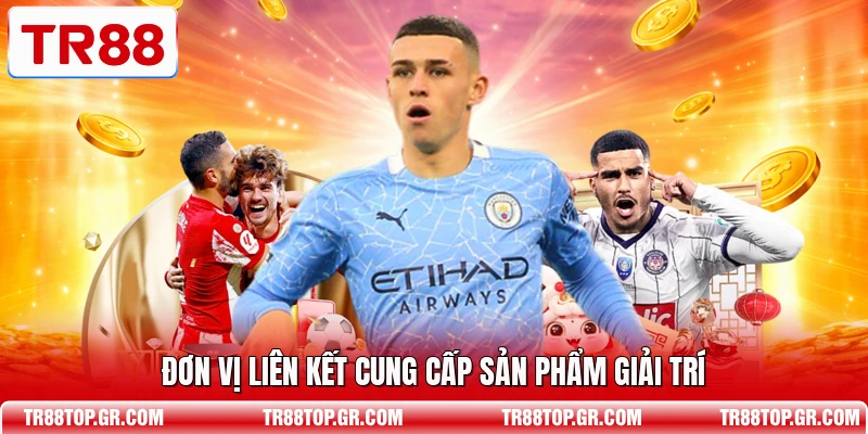 Đơn vị liên kết cung cấp sản phẩm giải trí