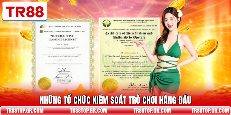 Những tổ chức kiểm soát trò chơi hàng đầu